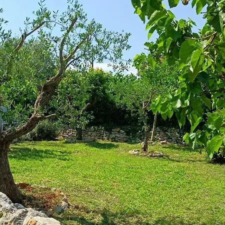 I Trulli Di Zizi Villa *
